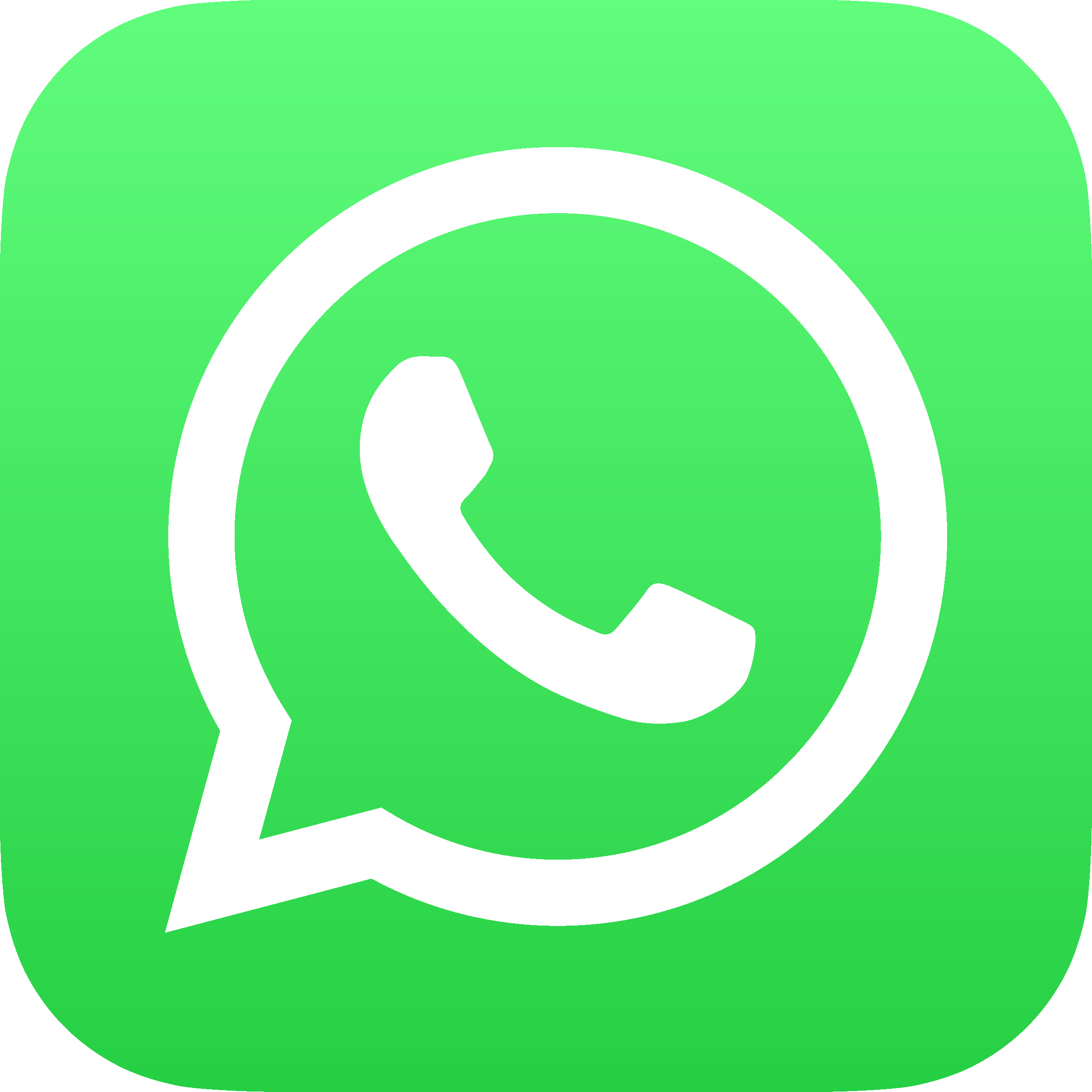 WhatsApp Icon